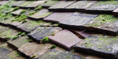 Caio roof repair costs